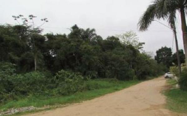 Área de terras c/ 98.008,00m² situado na estrada Guarujá-Bertioga situado no Guarujá/SP