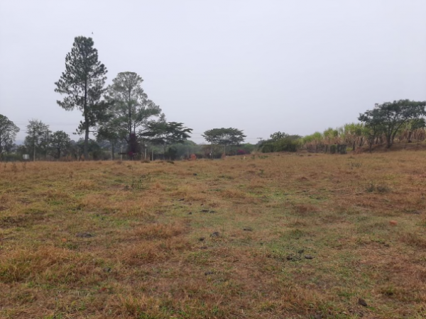 Estância Girassol c/ área de 24.039,42m² situado à Estrada Municipal JGR-354